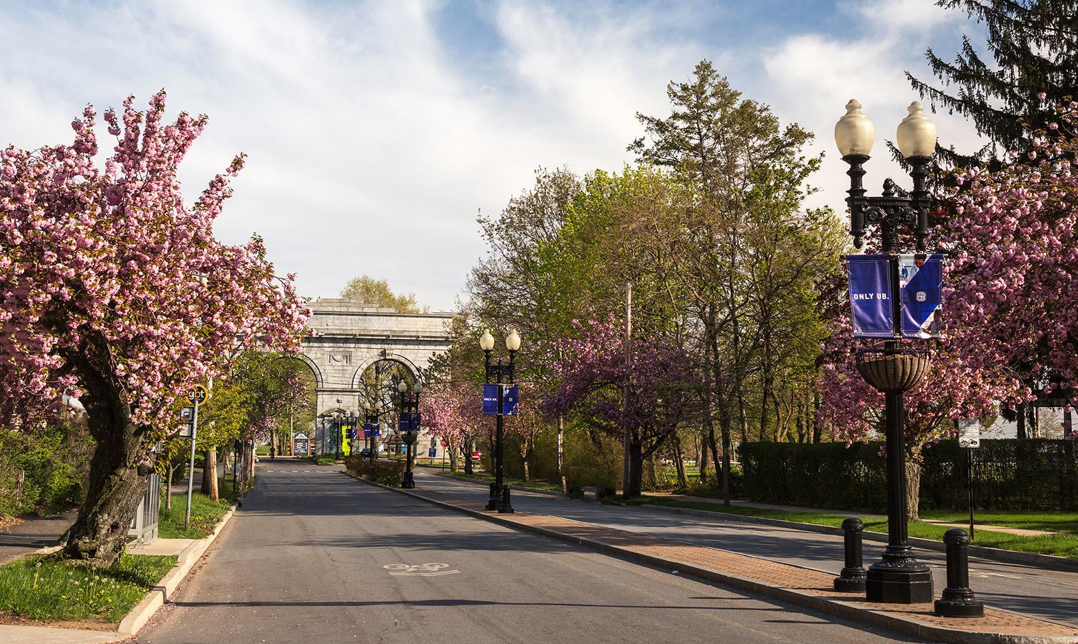 University of Bridgeport campus gates on Park Avenue
