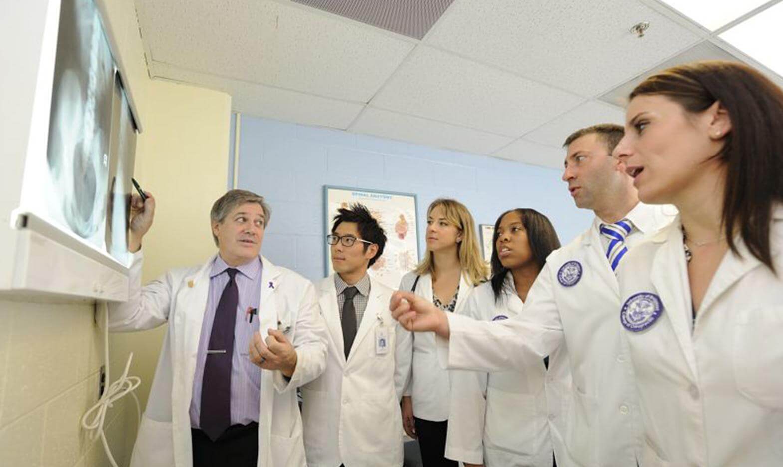 University of Bridgeport chiropractic students and faculty reviewing diagnostic imaging